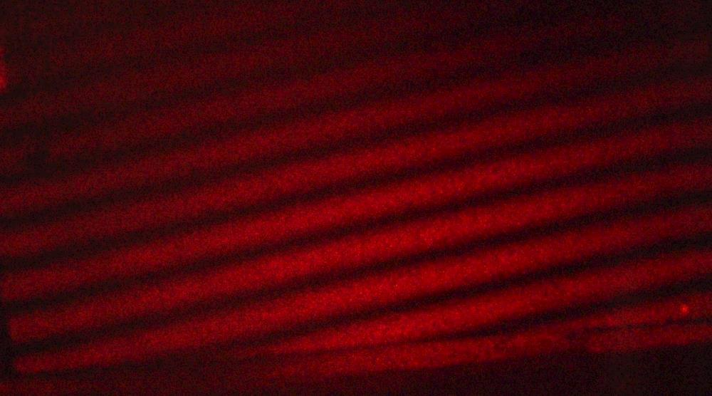 79744165535246cd8df153190e48020e.jpg